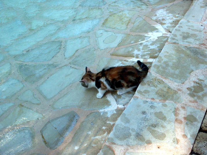 Caramel 07-05 041.jpg - DCF 1.0